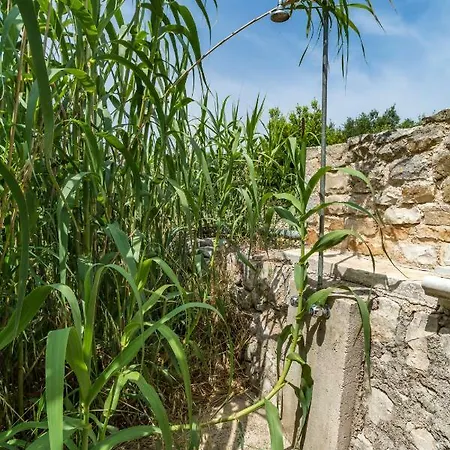 I Granai Del Carmine Vila Conversano